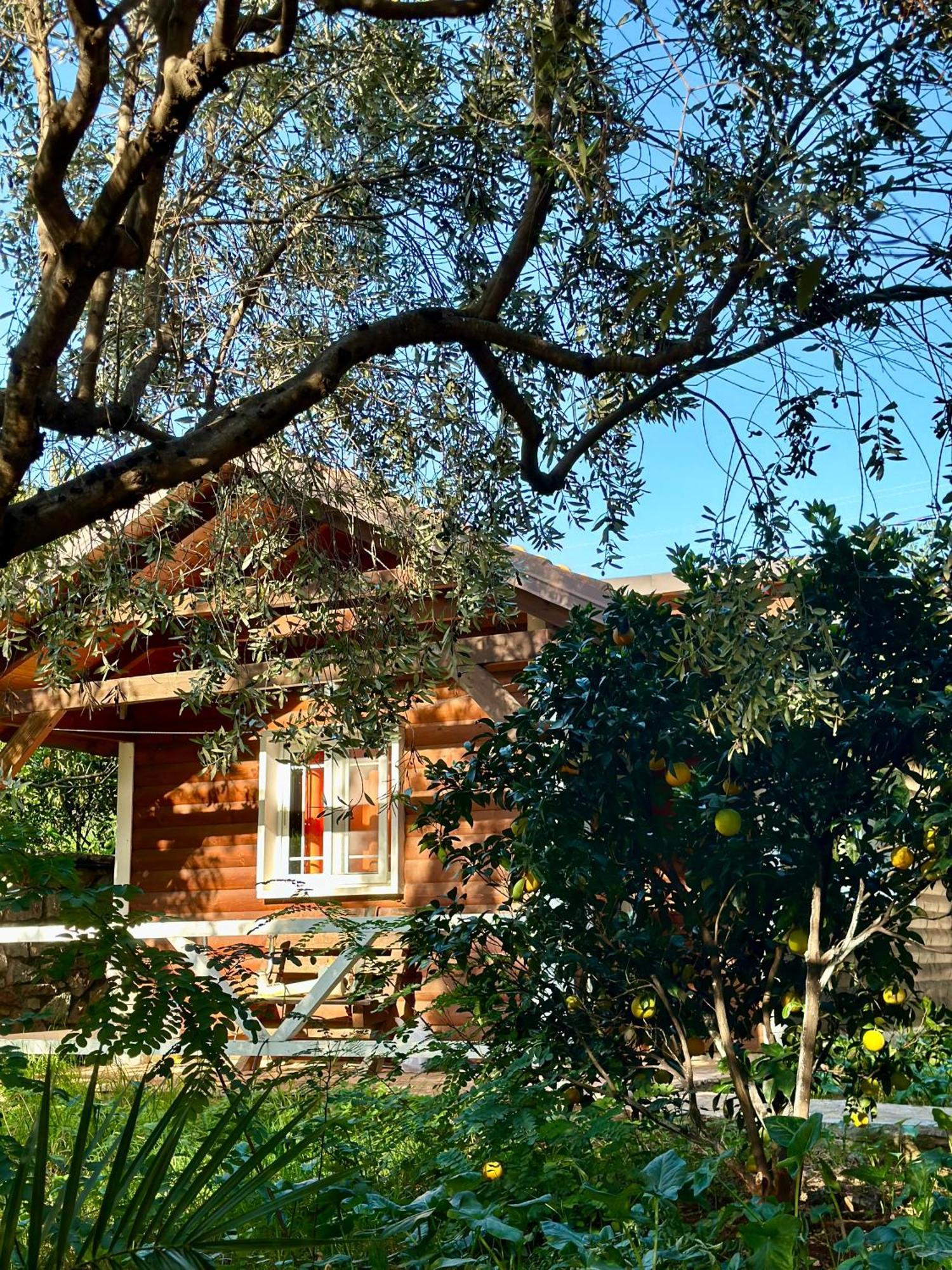 The Mussel House Ksamil Exterior foto